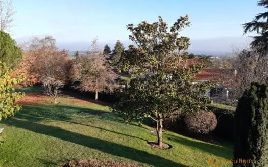 Vendu maison 7 pièces 286.00 m², 69280