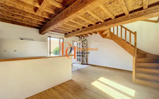 Vente appartement 1 pièce 41.70 m², 69280
