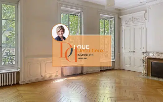 Loué appartement 8 pièces 250.28 m², 69006