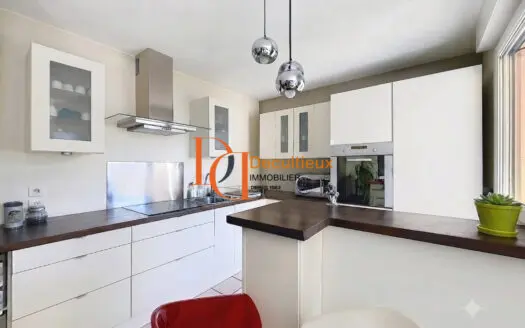Vente appartement 3 pièces 66.87 m², 69100